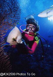 Diver w/ grey angelfish